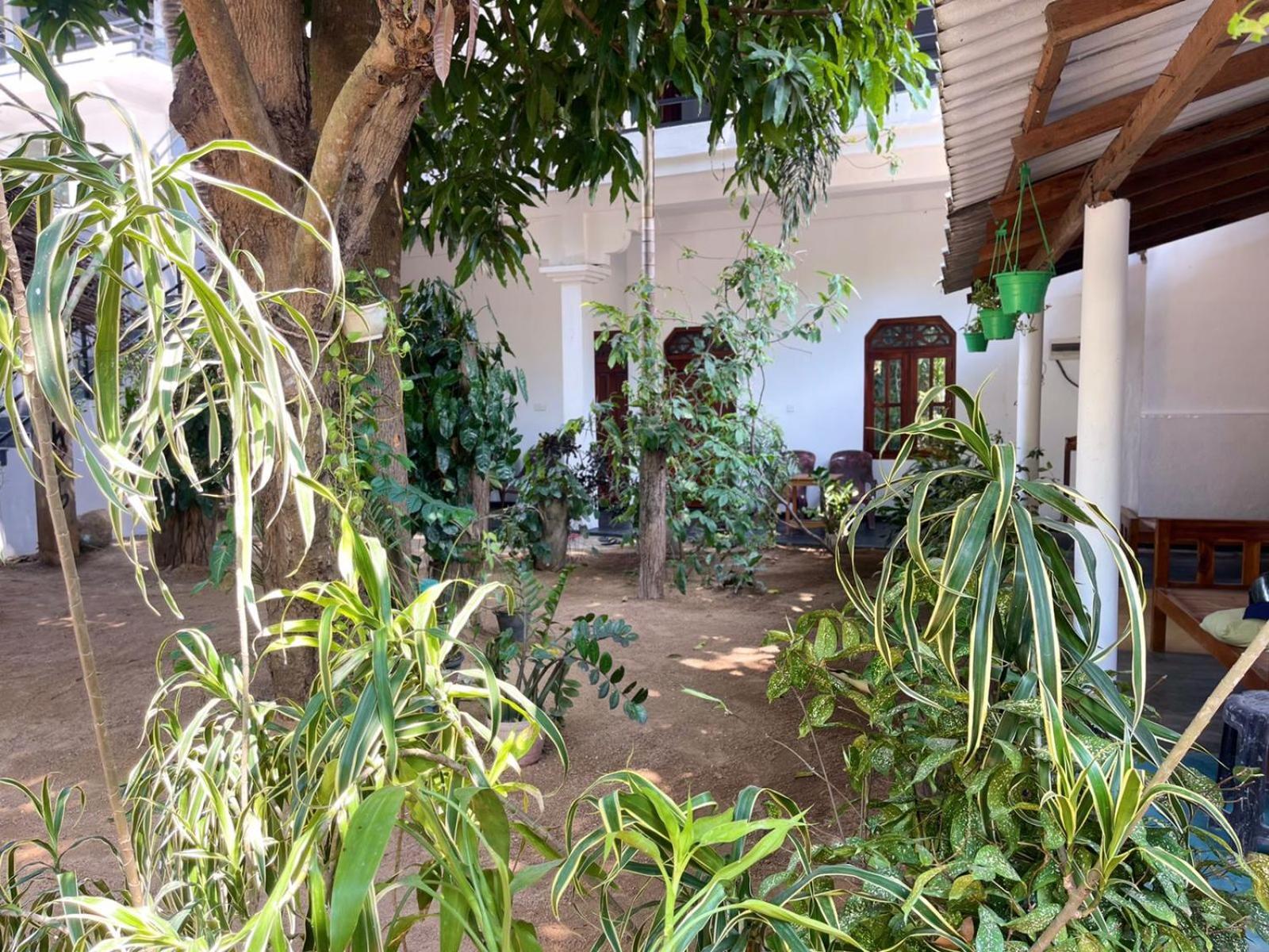 Arugambay Village Arugam Bay Exterior foto